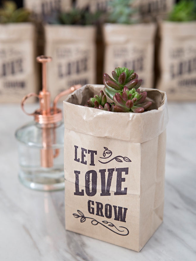 OMG, These DIY "Let Love Grow" Succulent Wedding Favors Are The Cutest!