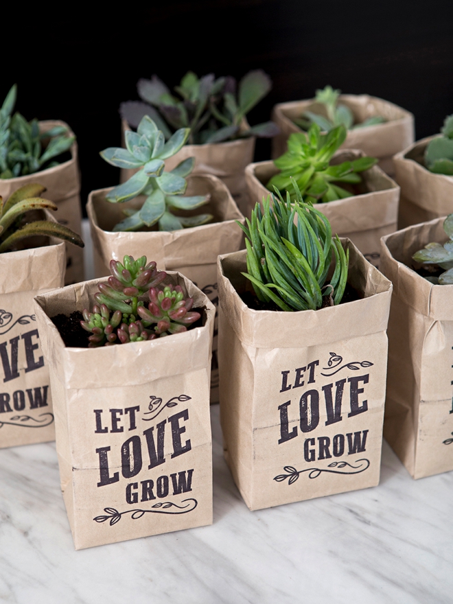 These printable Let Love Grow succulent wedding favors are the cutest!