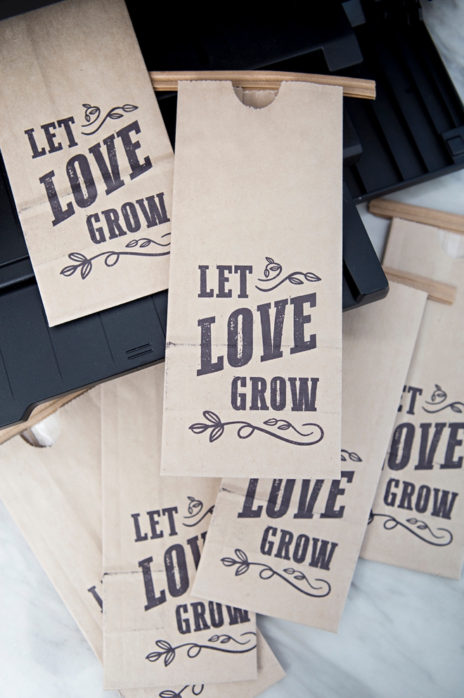 FREE printable Let Love Grow design to make your own succulent wedding favors!