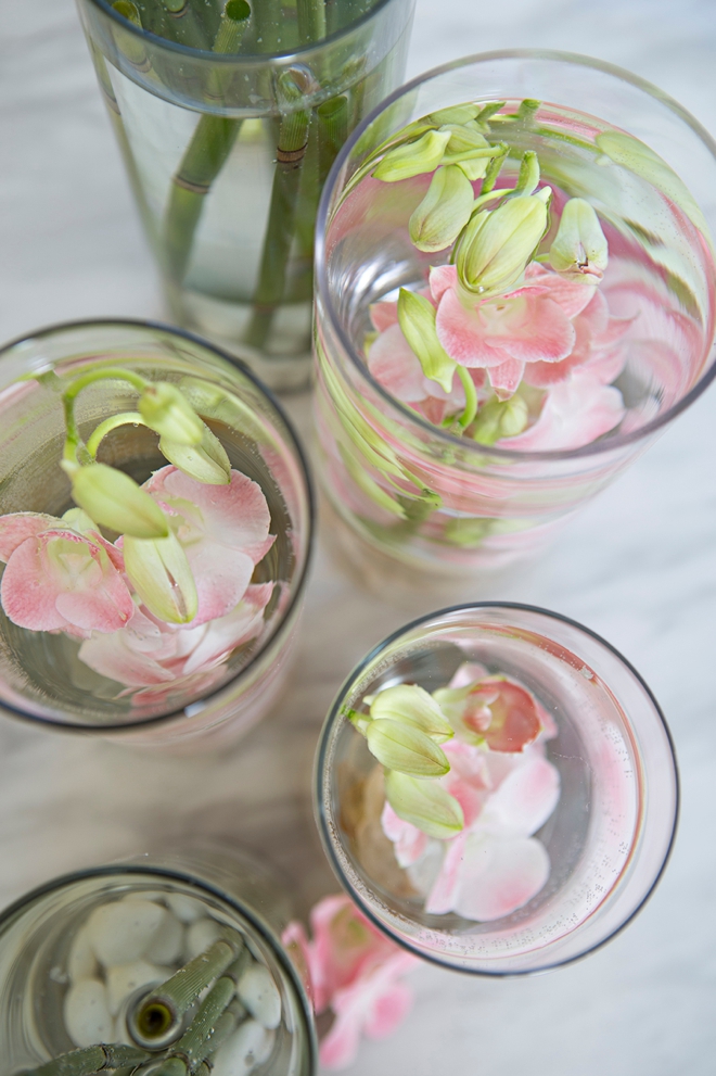 flowers submerged in water