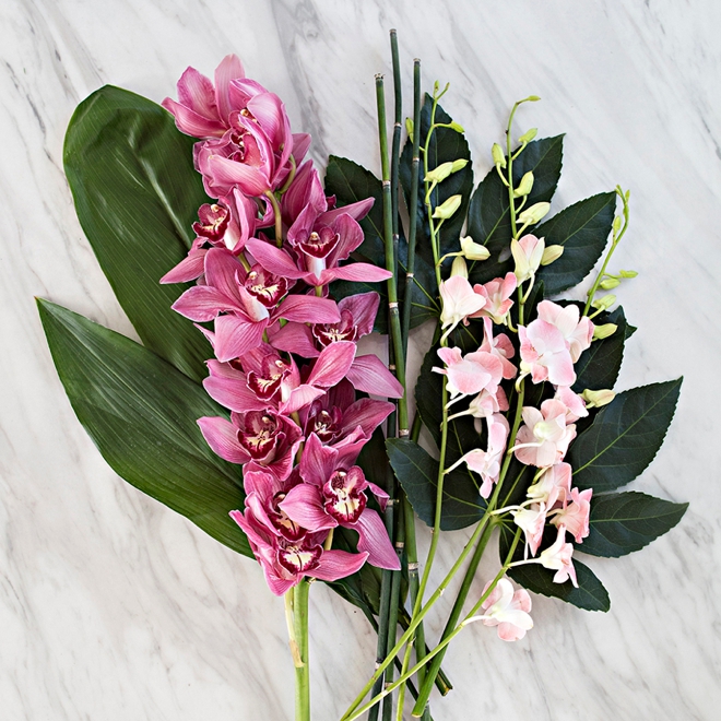 FiftyFlowers.com DIY Floral Combo Pack, Tropical Wedding!
