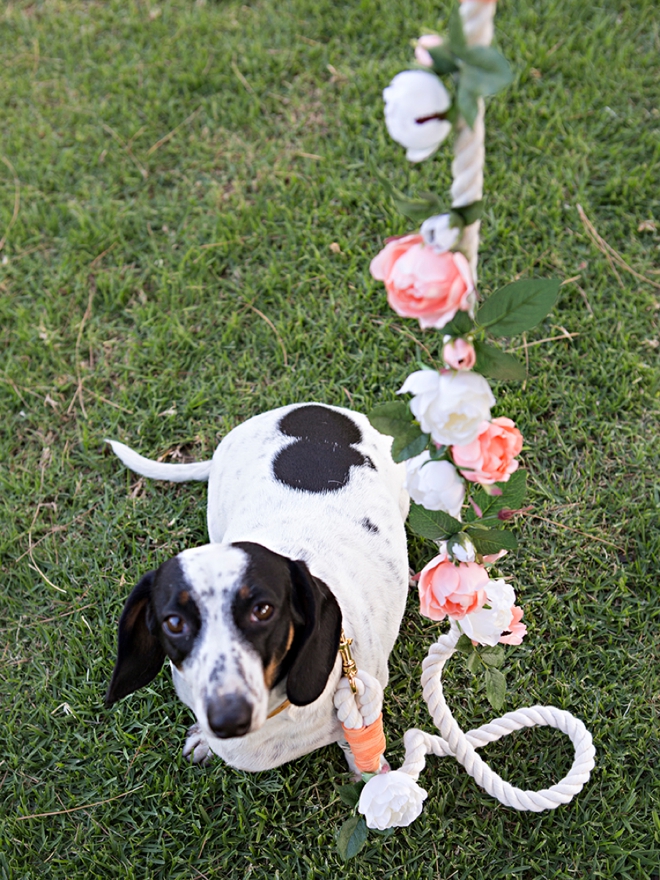 How to make the cutest wedding dog leashes!