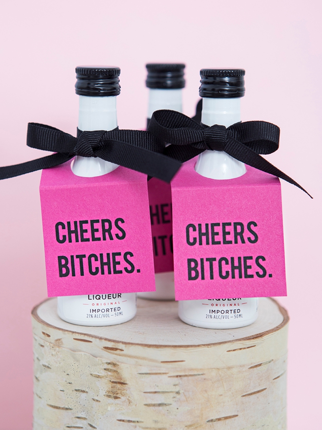 Cheers Bitches, Mini Alcohol Bottle Tags!