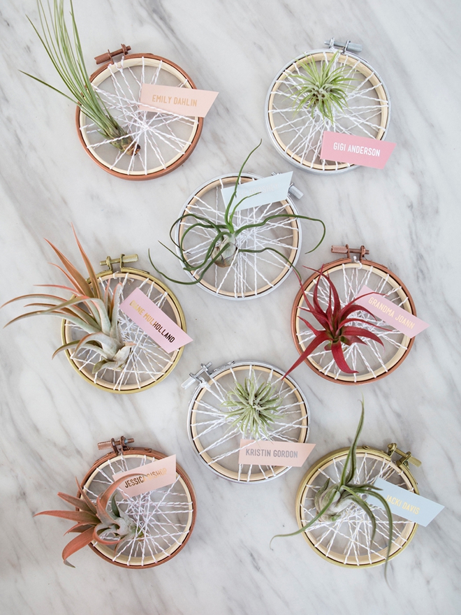 Learn how to make your own air plant favors that double as seating cards!