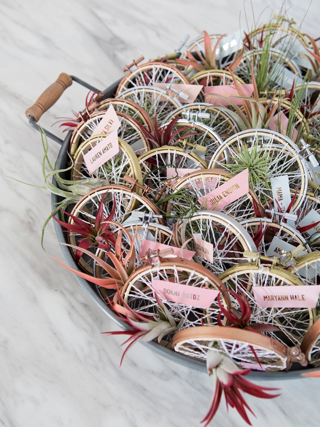 Learn how to make your own air plant favors that double as seating cards!