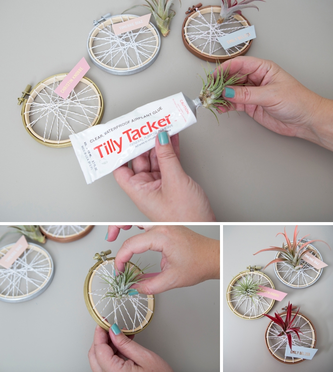 These DIY air plant favors doubled as seating cards for this baby shower!