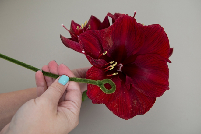 How to clean pollen off flower petals!