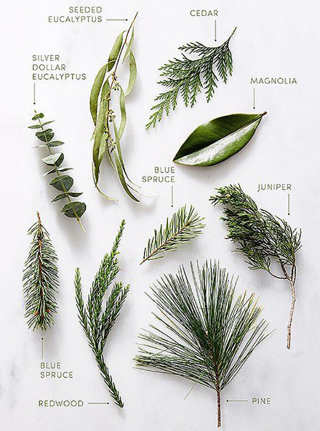 https://somethingturquoise.com/wp-content/uploads/2018/12/winter-greenery.jpg