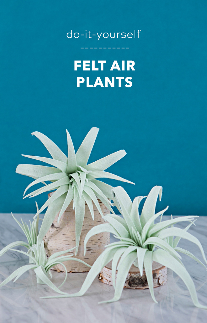 These are the most amazing handmade felt air plants!
