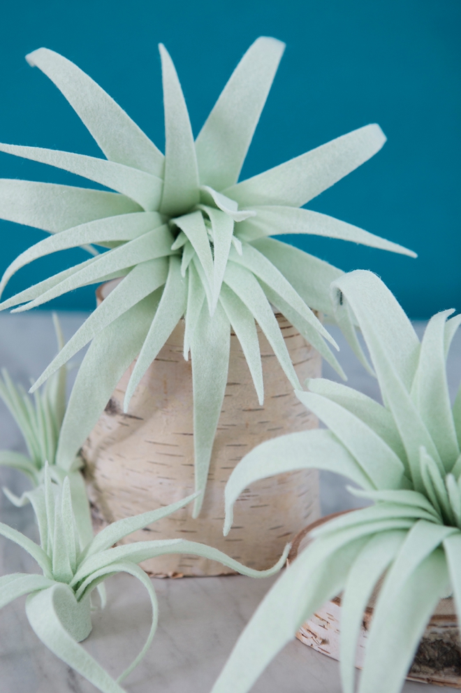 These are the most amazing handmade felt air plants!