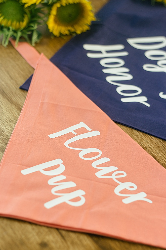 OMG CUTE! Give your dog a special spot on your wedding day with these DIY dog bandanas.