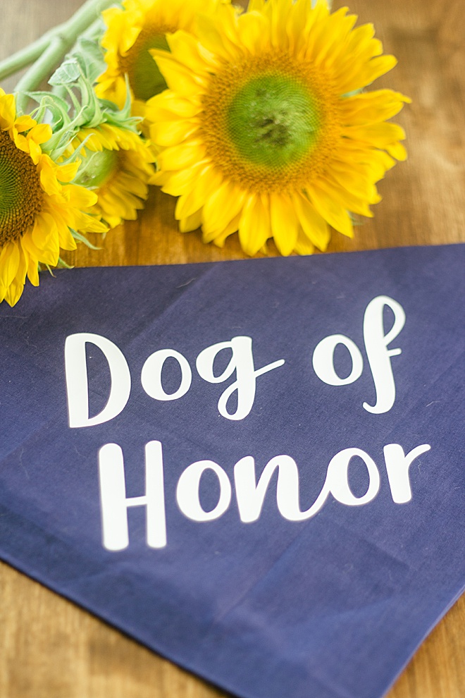 Whether you want your dog to be your “Dog of Honor” or “Flower Pup”, maybe even his “Best Dog”, we have a bandana for you.