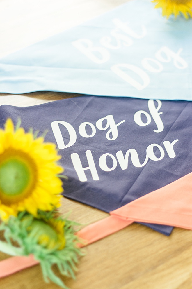 Whether you want your dog to be your “Dog of Honor” or “Flower Pup”, maybe even his “Best Dog”, we have a bandana for you.