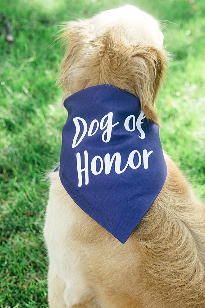 Dog of honour bandana best sale