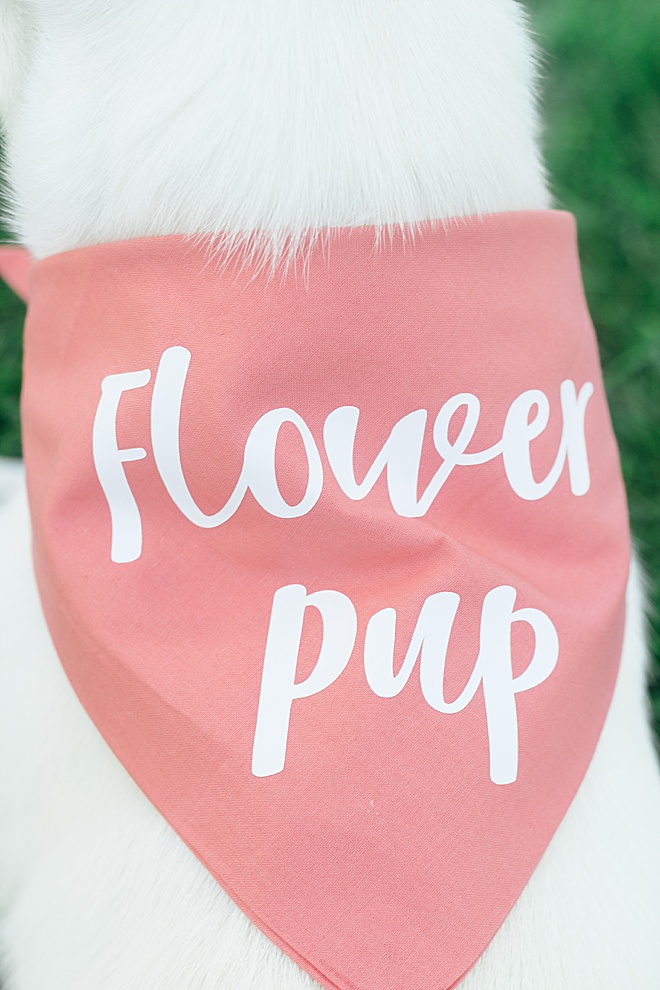 OMG CUTE! Give your dog a special spot on your wedding day with these DIY dog bandanas.