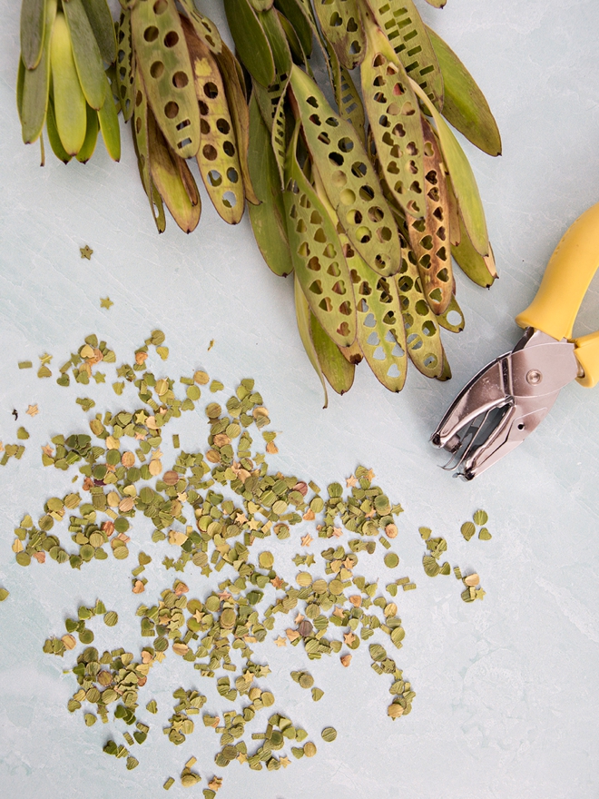 DIY leaf confetti using a hole punch and Leucadendron leaves!