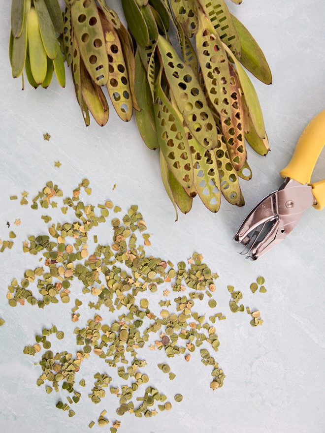 How To Make Amazing Leaf Confetti With Leucadendron Greens!