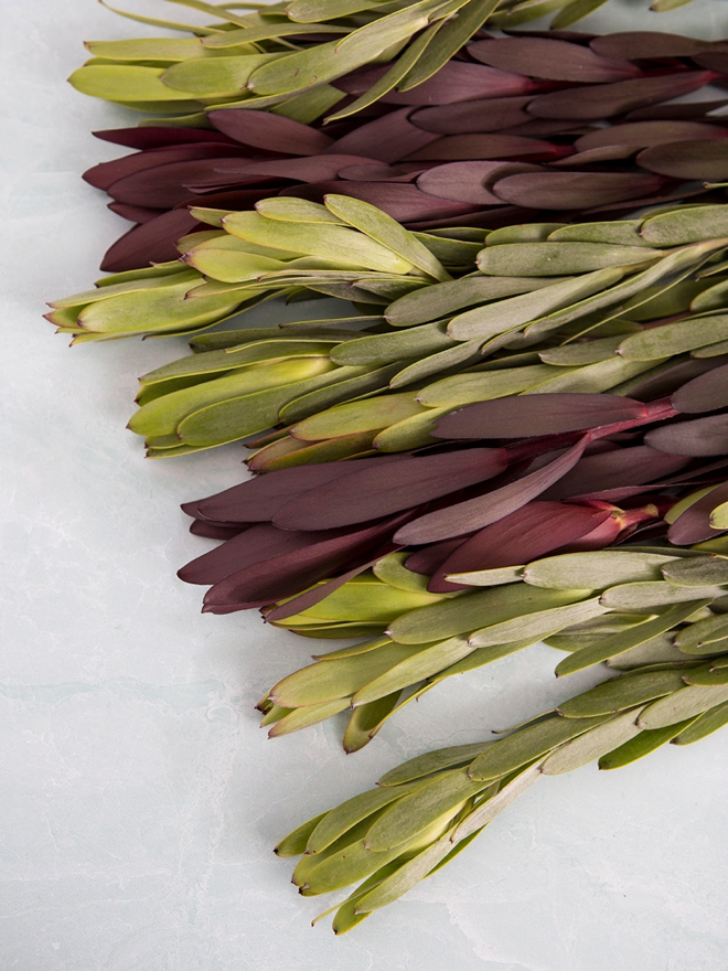 Wow, you can make your own confetti out of hole punching leaves!