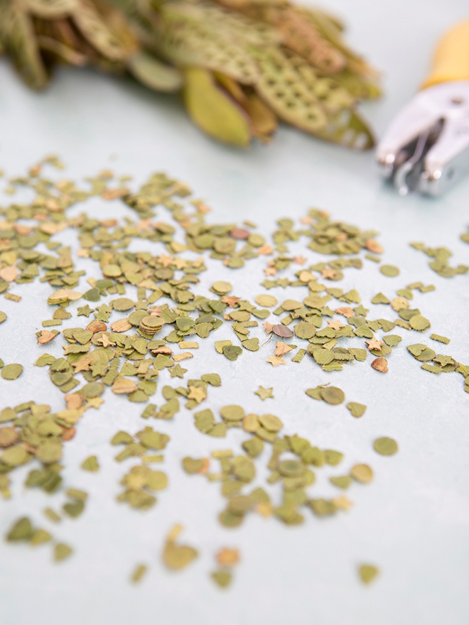 DIY leaf confetti using a hole punch and Leucadendron leaves!