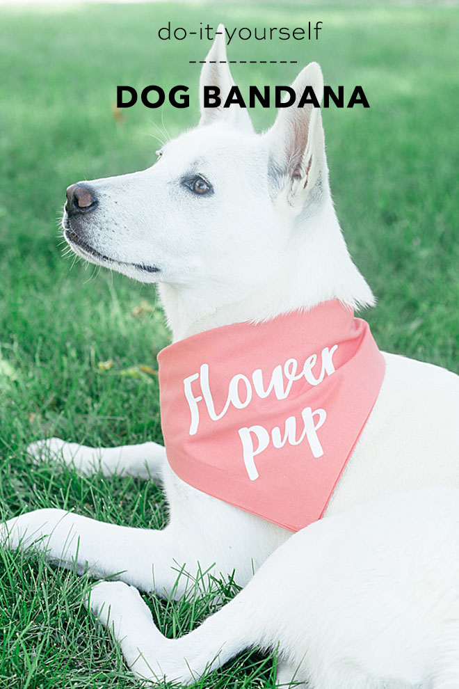 DIY No Sew Dog of Honor Flower Pup Best Dog Cricut Bandana