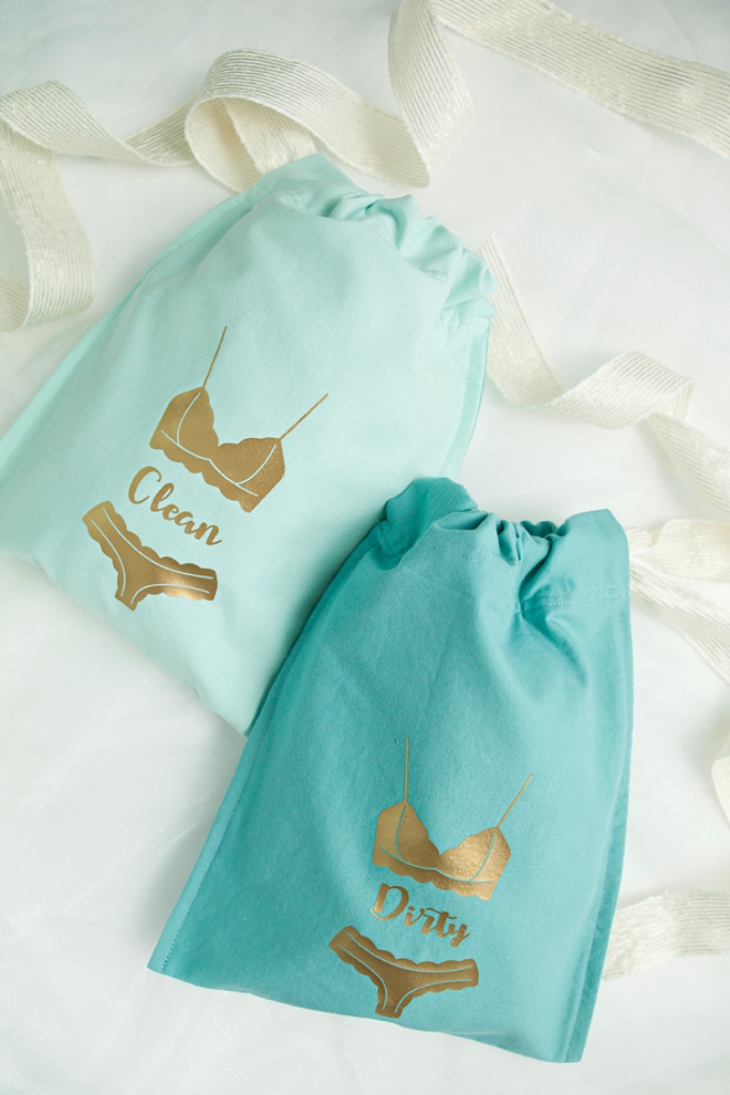 Adorable, custom clean and dirty, wash and wear lingerie bags!
