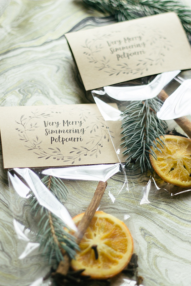 We've got Christmas Spirit with this DIY potpourri tutorial!