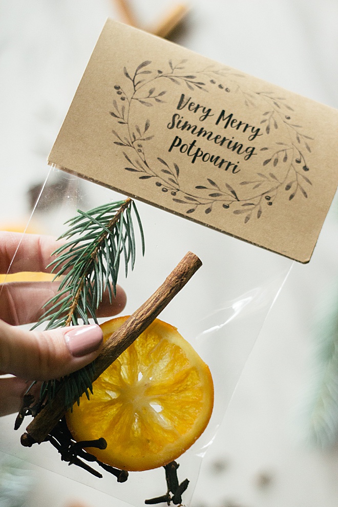 We've got Christmas Spirit with this DIY potpourri tutorial!