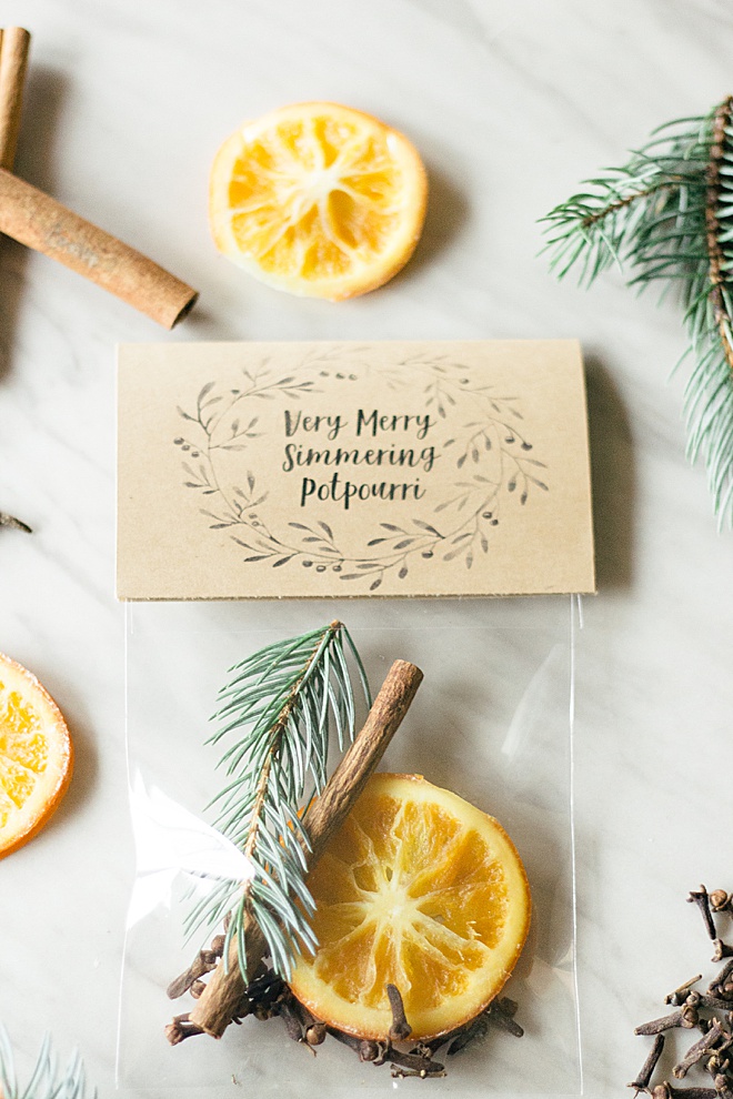 We've got Christmas Spirit with this DIY potpourri tutorial!