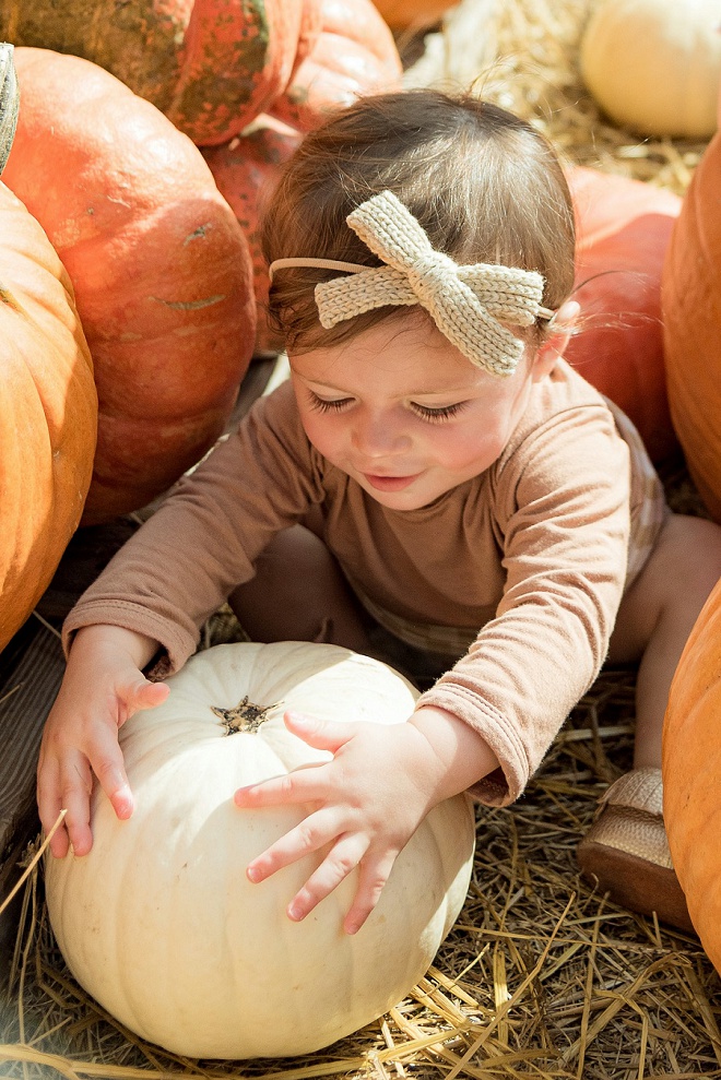 Super Adorable Fall Session at the Pumpkin Patch