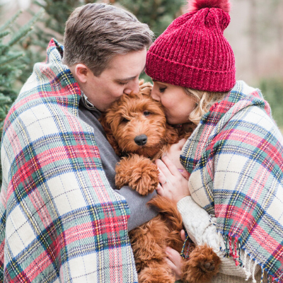 We are OBSESSED with this adorable couple and pup at their styled holiday engagement!