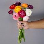 Help save our flower farmers with Fifty Florals.