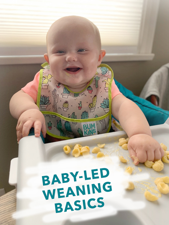 These are the basics for Baby-led Weaning!
