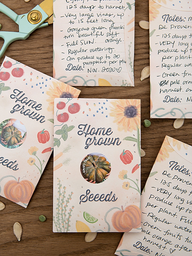 Adorable and free, homegrown seed packet printable design!