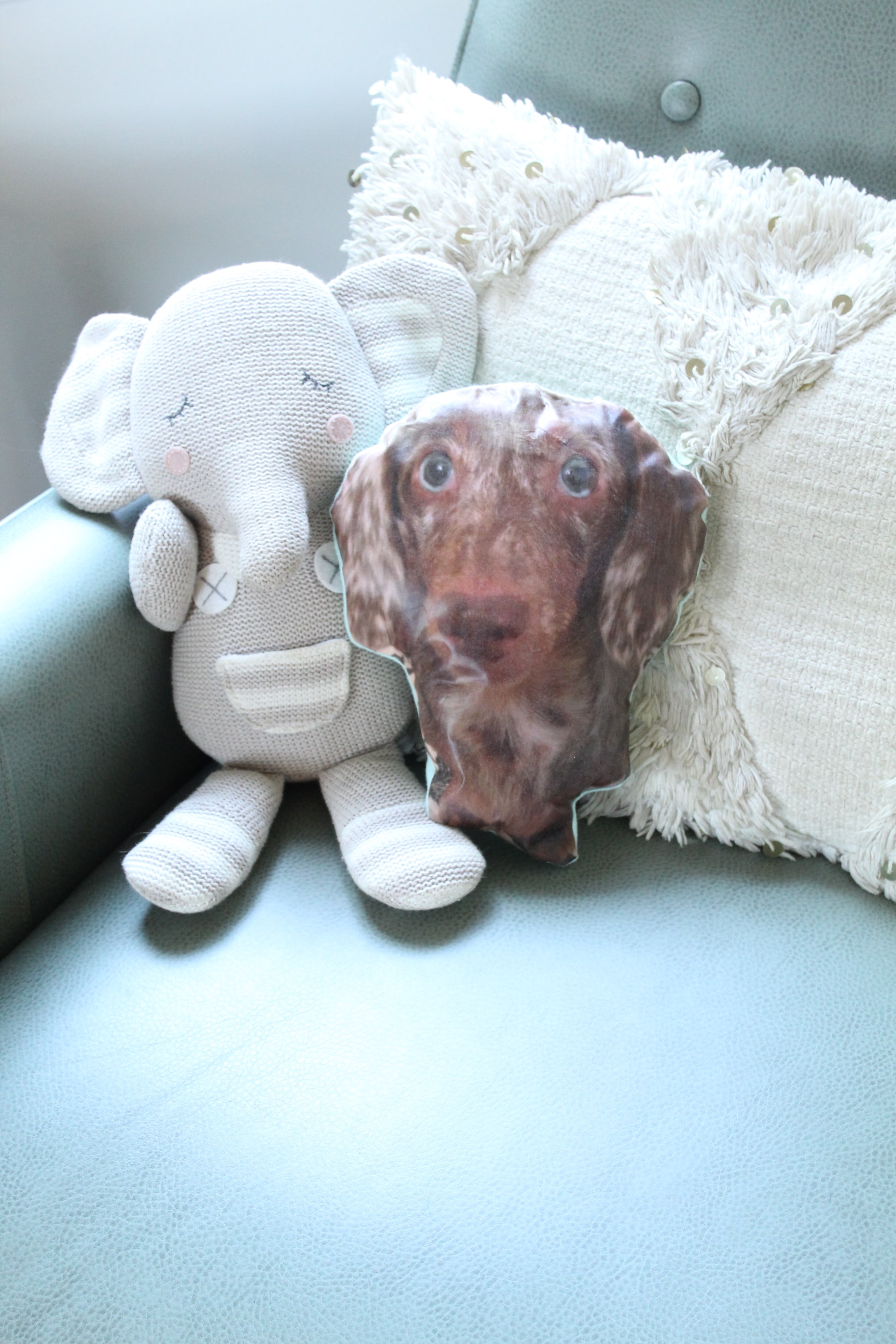 Attention Pet Lovers: You don't want to miss this adorable DIY Pet Portrait Pillow!