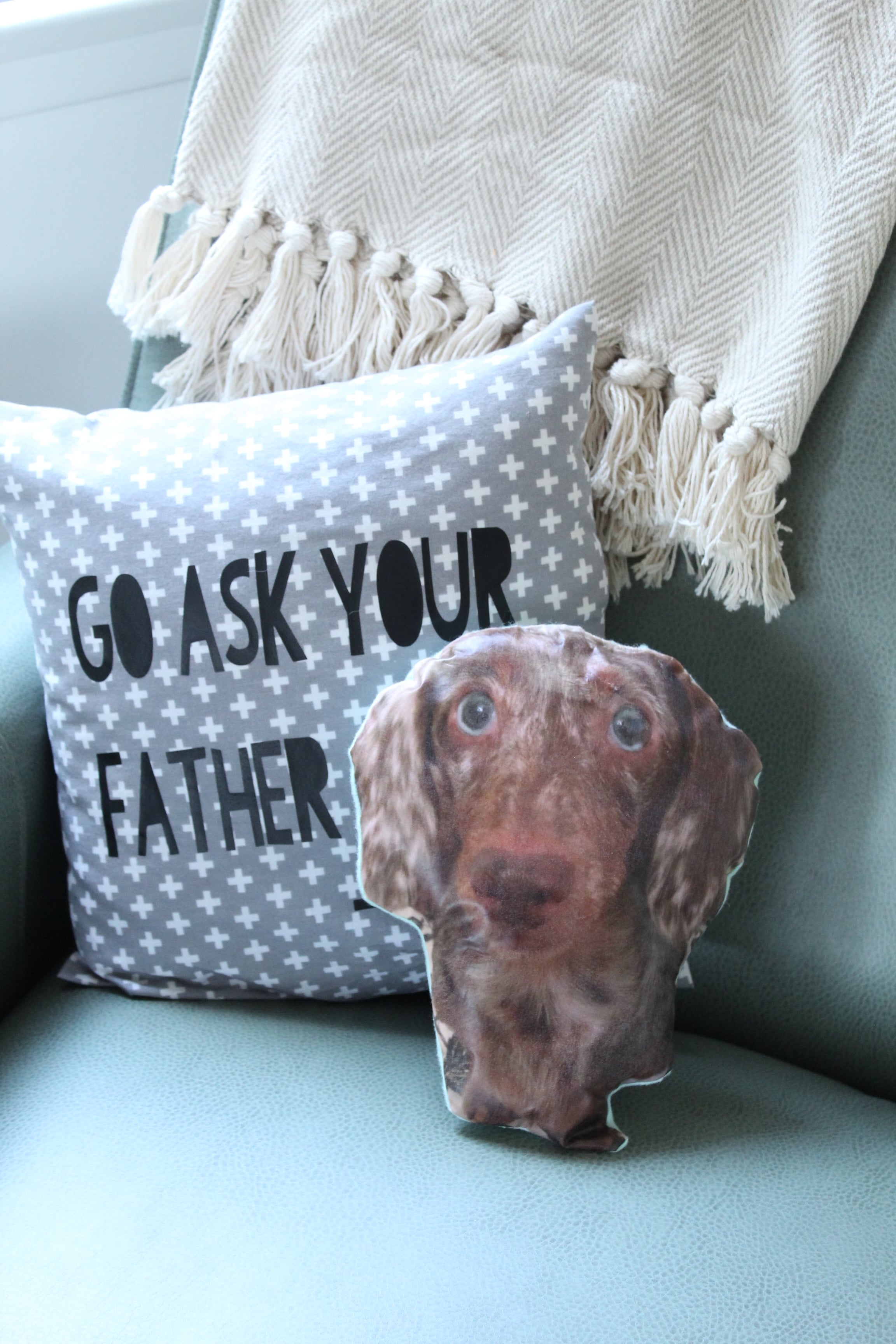 Attention Pet Lovers: You don't want to miss this adorable DIY Pet Portrait Pillow!