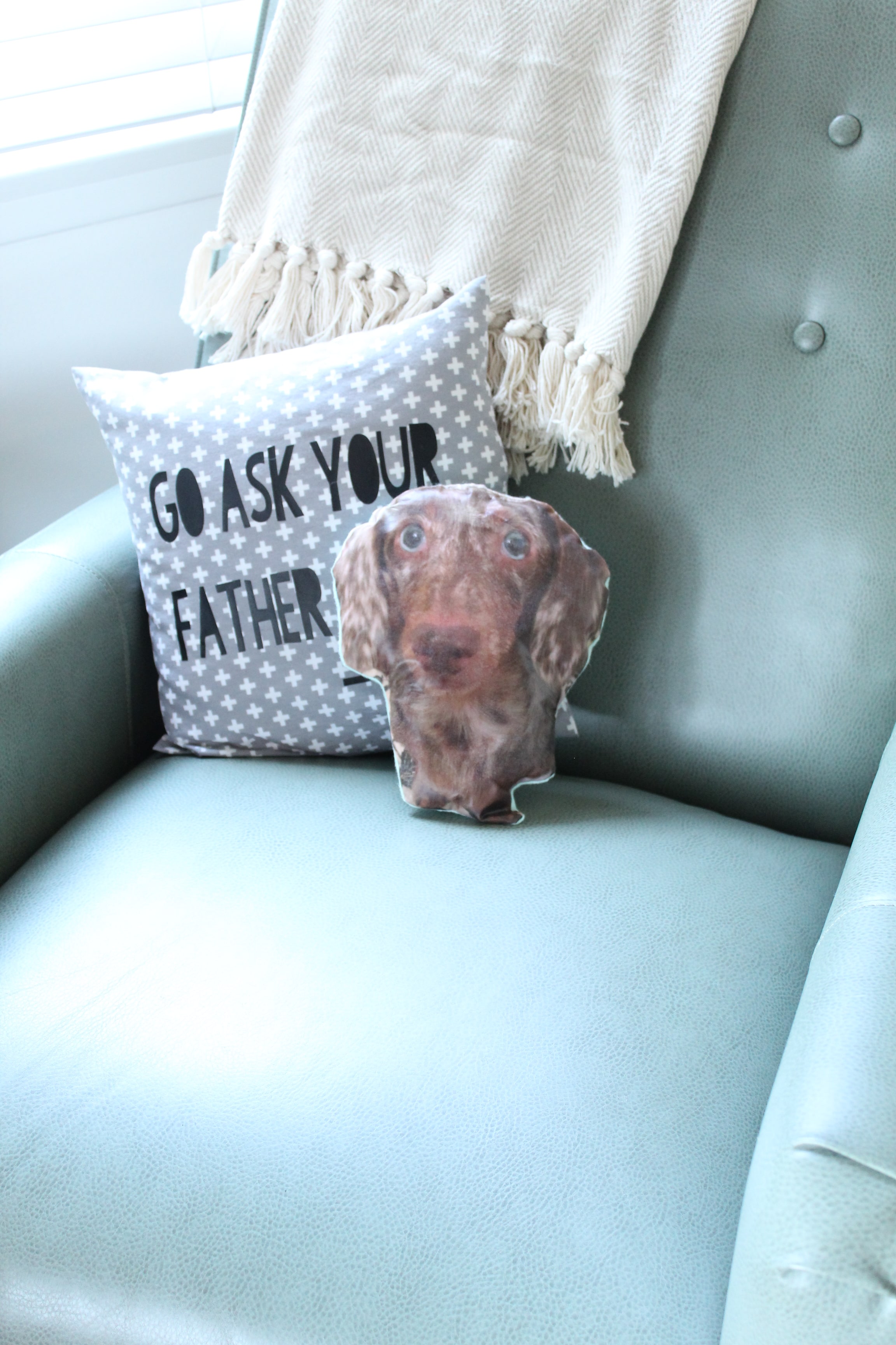 Attention Pet Lovers: You don't want to miss this adorable DIY Pet Portrait Pillow!