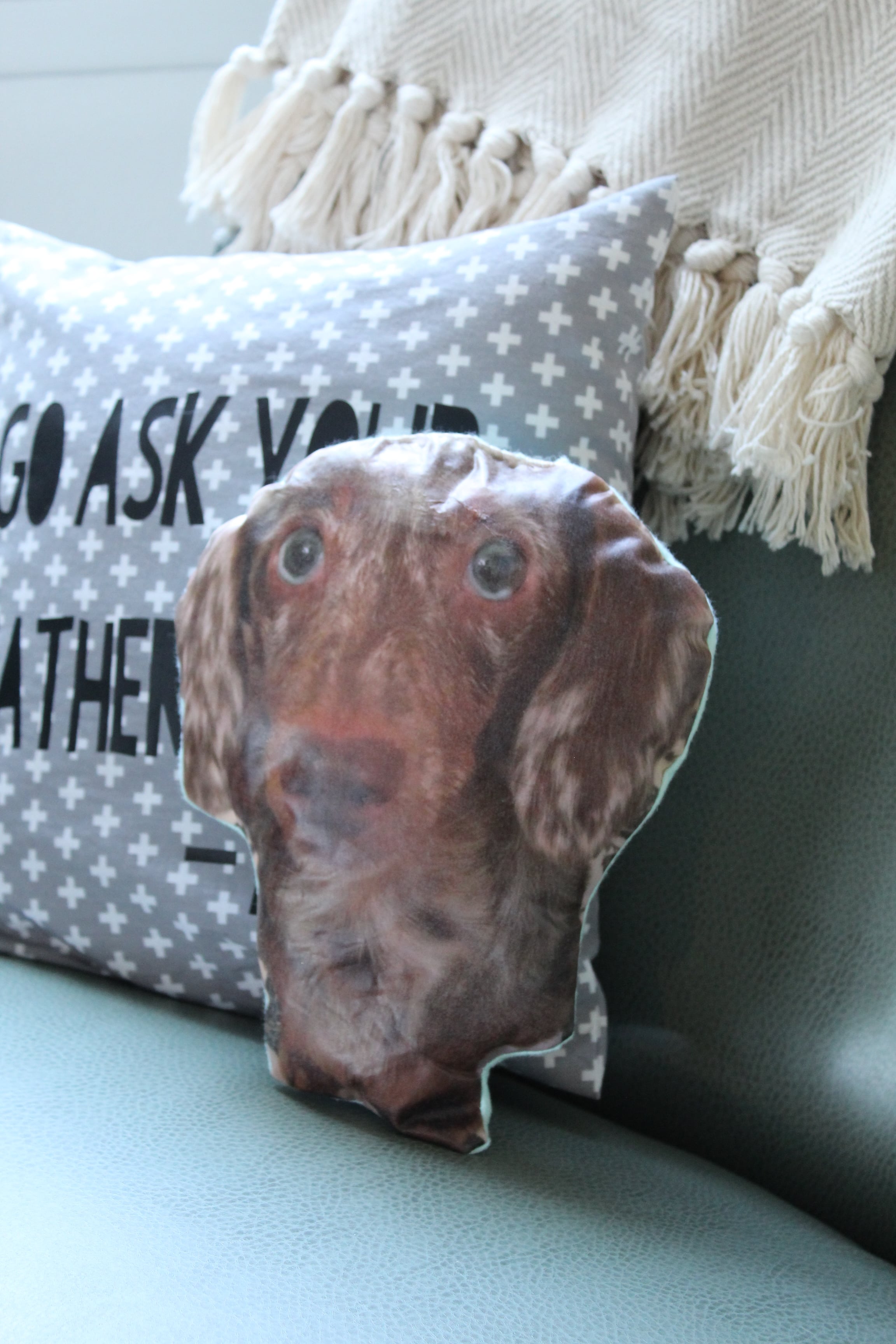 Attention Pet Lovers: You don't want to miss this adorable DIY Pet Portrait Pillow!