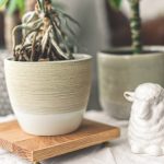 DIY Wood Plant Stand for the Home
