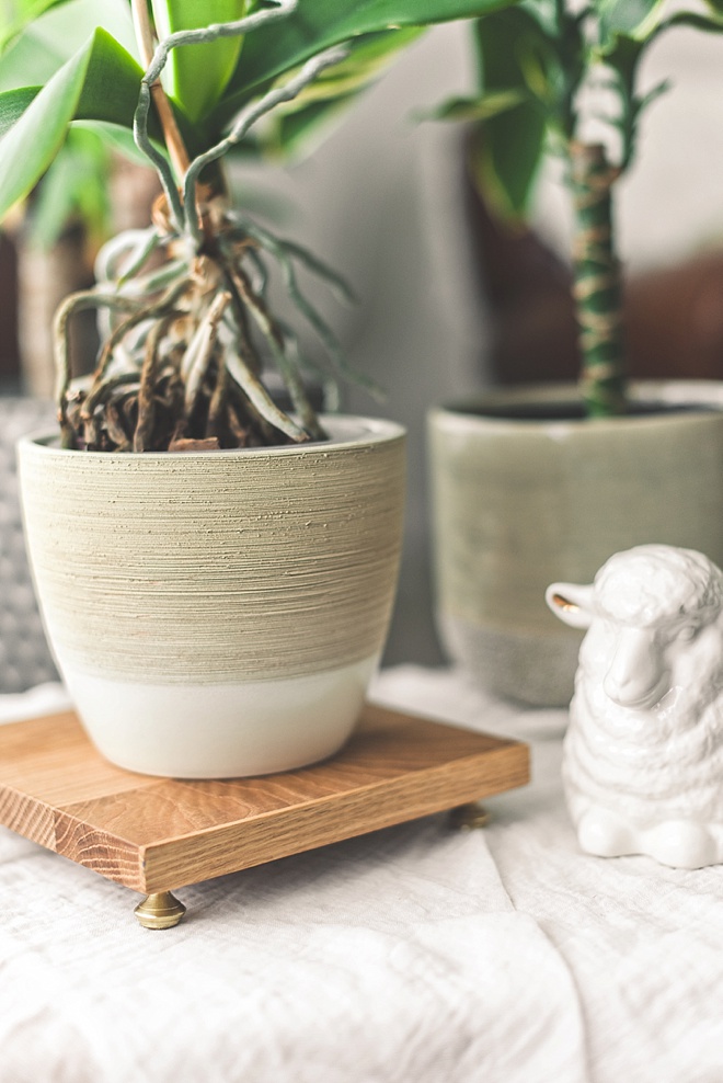 DIY Wood Plant Stand for the Home