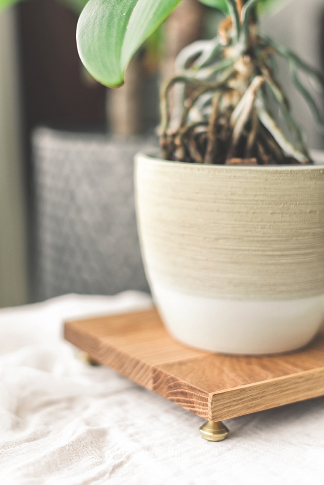 How to make a beautifully easy plant stand