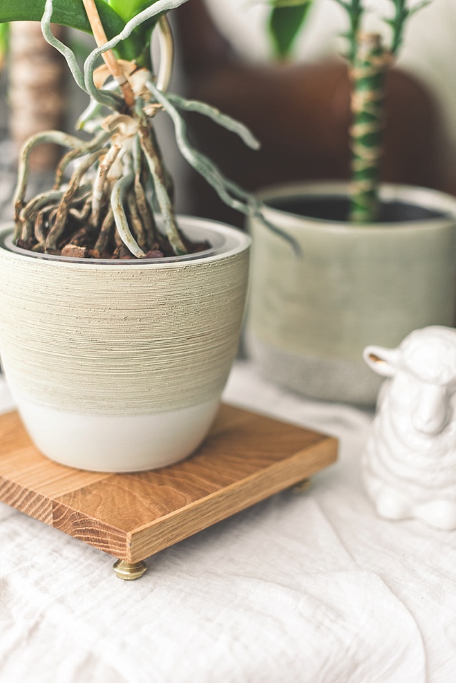 Plant or Dessert Stand made of Oak Wood Block