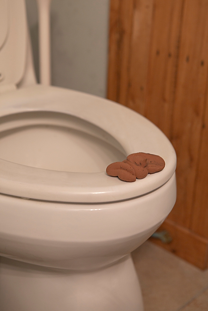 Tease your kids with this DIY fake poop!