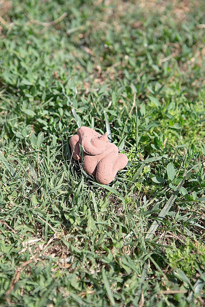 This isn't real, it's FAKE poop! Perfect for April Fools or kids tricks!