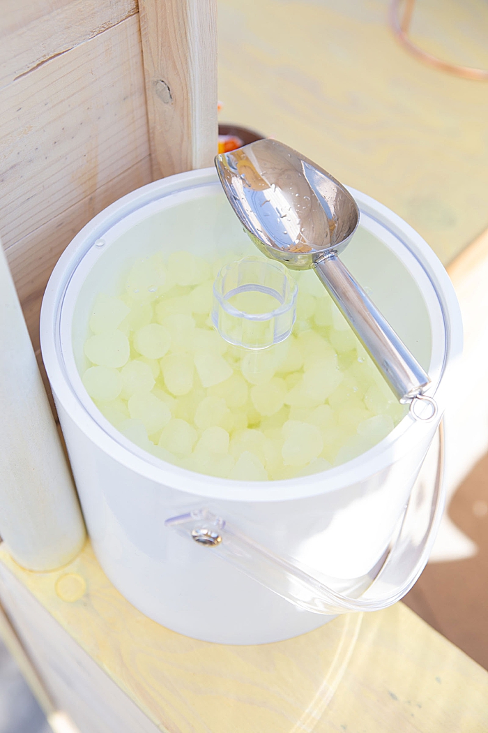 Lemonade ice cubes for the win!